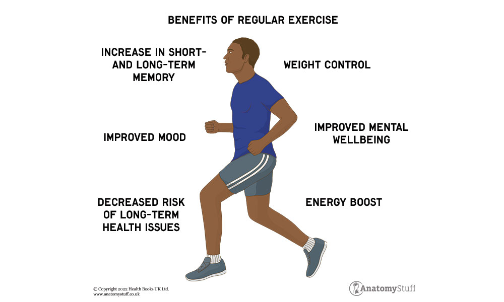 Fitness & Exercise, Benefits of Regular Exercise