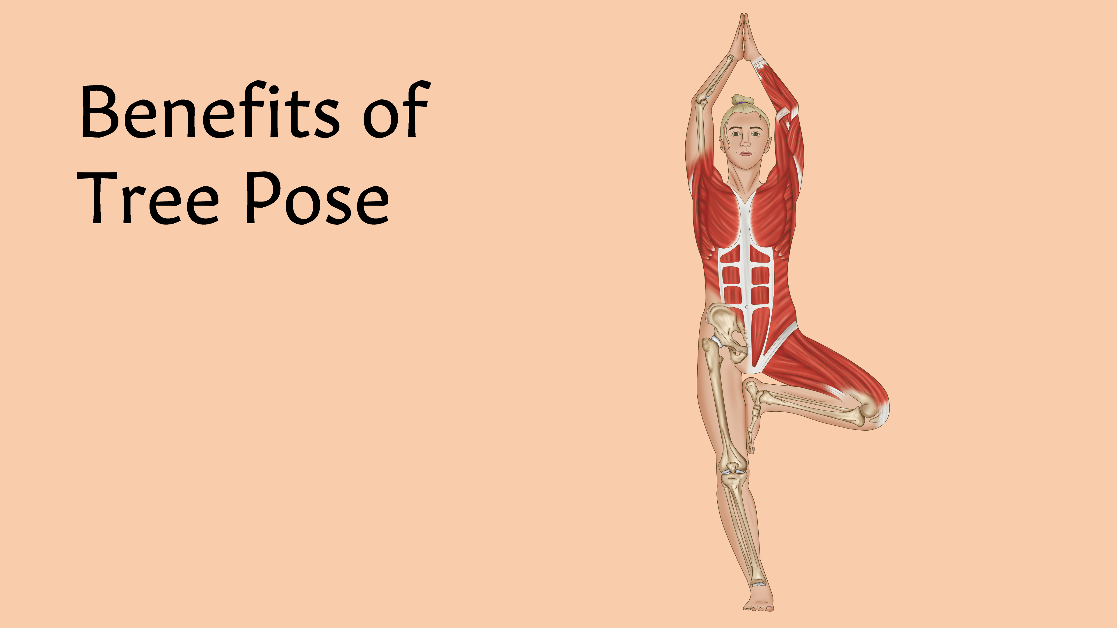 Yoga Anatomy, The Health Benefits of Yoga