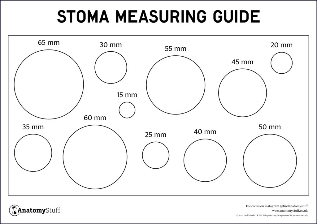 stoma measuring guide ostomy care