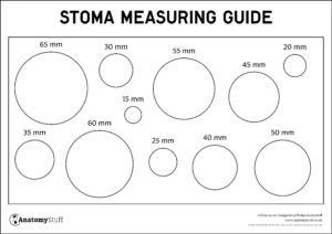 stoma measurement guide ostomy colostomy