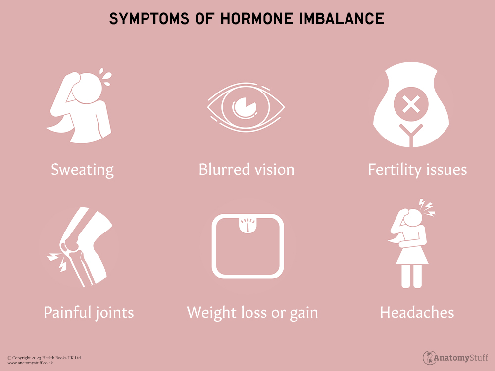 Understanding Hormones Hormone Imbalance Anatomystuff